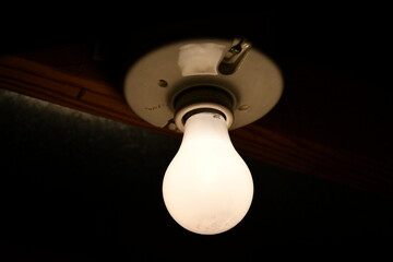 Light Bulb