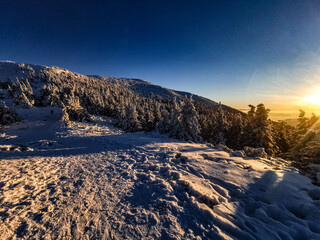 Mountains, forest, snow