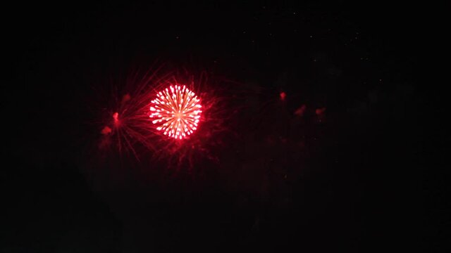 Blurred firework display on black night sky. First there are red fireworks in ball shape and then blue ones. Celebrating the holiday. Pyrotechnic show. Real time video.