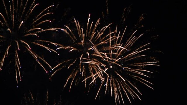 Blurred firework display on black night sky. Gold colored curved fireworks after heart shaped red one. Celebrating the holiday. Pyrotechnic show. Real time video.