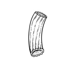 Tortiglioni pasta sketch. Doodle outline black and white vintage style macaroni illustration. Hand drawn isolated on white background.