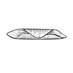 Garganelli pasta sketch. Doodle outline black and white vintage style macaroni illustration. Hand drawn isolated on white background. - 458827592