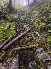 Trail at Babia Gora Mountain - Beskidy Mountains	
