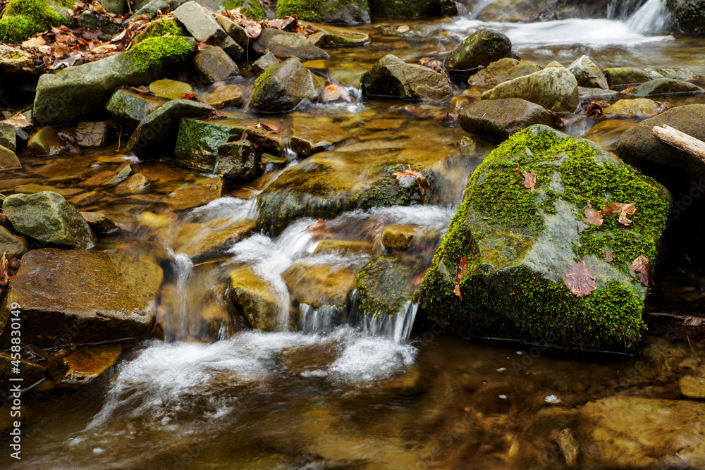 Poster green moss on a stone by a flowing river.