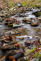 Fototapeta na wymiar Mountain stream flowing between the stones.
