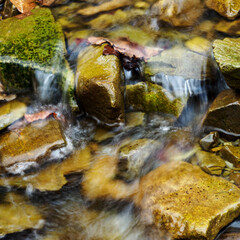 Obraz premium Mountain stream flowing between the stones.
