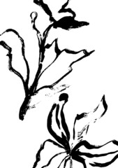 black and white background hand draw flower