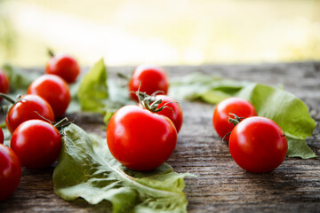 tomato and basil