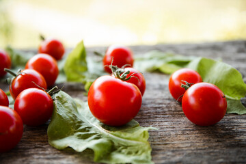 fresh tomatoes on the table