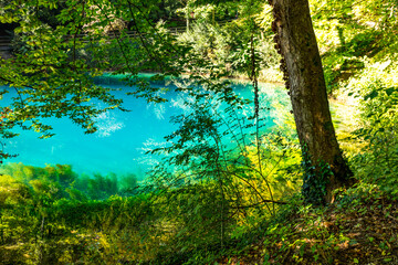 Obraz premium Blautopf in Blaubeuren