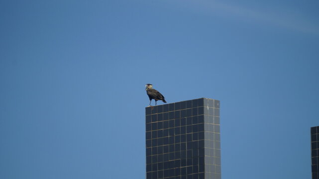 รูปภาพCataVento เลือกดูภาพถ่ายสต็อก เวกเตอร์ และวิดีโอ87 Adobe Stock
