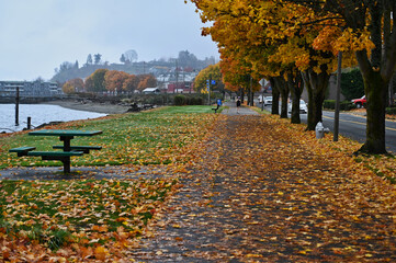 Tacoma Washington Waterfront Walkway and Picnic Table in Autumn