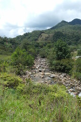 Fototapeta na wymiar rio colombiano 