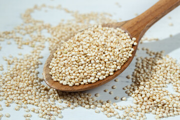 キヌア（西: Quínua、ケチュア語：kinwa または kinuwa、学名：Chenopodium quinoa）、栄養素の高い雑穀