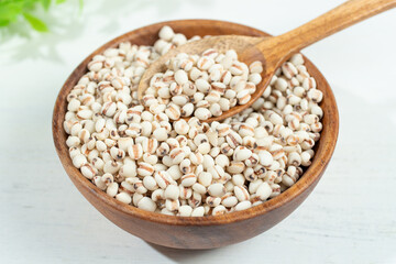 ハトムギ（鳩麦、学名: Coix lacryma-jobi var. ma-yuen）、穀物の一種、食用、漢方や化粧品にも使用される。