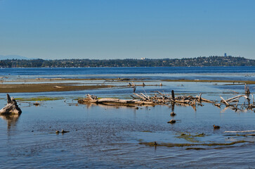 Lake Washington Driftwood and Surrounding Neighborhood in Renton Washington State