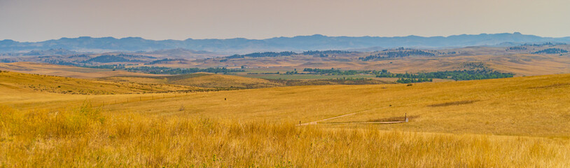 Battle of the Little Bighorn, known also as Wounded Knee, was fought along the grassy bluffs and...
