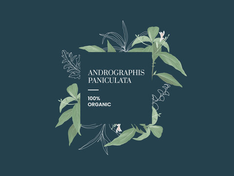 Andrographis paniculata leaves text mockup