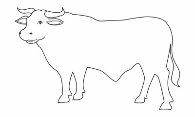 cows line vector illustration