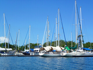 Barcos a Vela