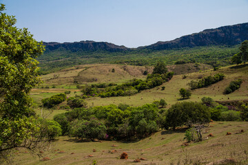 Fototapeta na wymiar Vista da estrada entre Tiradentes e Bichinho em Minas Gerais