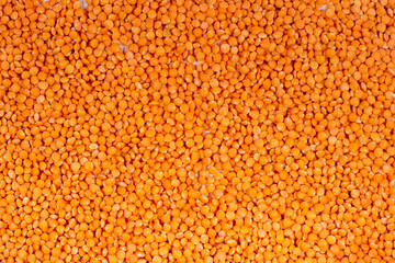 Masoor dal with white background