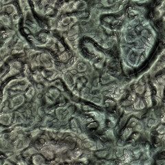 Wet rotten mouldy zombie flesh 3D illustration