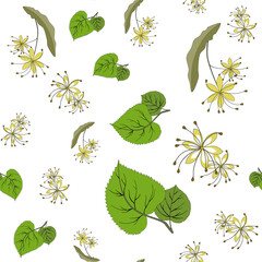 seamless pattern. summer spring linden leaves and linden flowers. Tilia europaea, common linden. vector green leaves and yellow flowers on a white background. medicinal plant on a white background