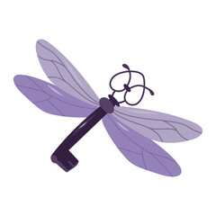 Flying purple key with wings.Esoteric and mystical design element.