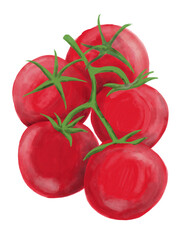 Watercolor painting of tomato vegetable. Healthy eating lifestyle concept.