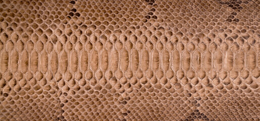 Natural snake skin is used for luxury clothes and accessories