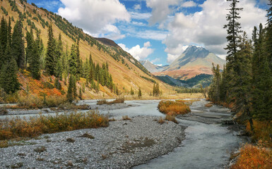 Fototapeta na wymiar Mountain valley with river, autumn, wild places