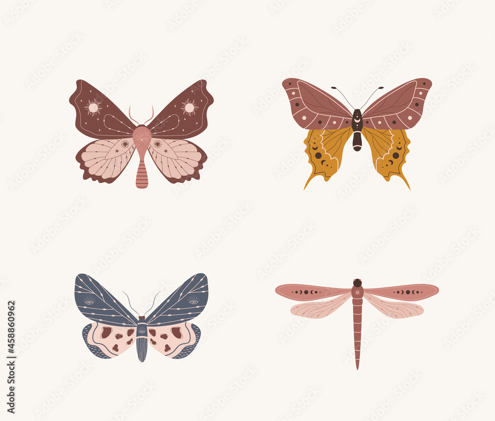 Wall mural boho butterfly collection. set of insects with celestial elements. alchemy esoteric symbols. abstrac
