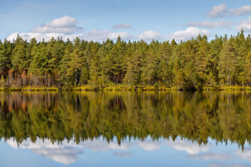 A beautiful forest lake with a reflection of trees and clouds.