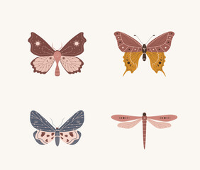 Boho butterfly collection. Set of insects with celestial elements. Alchemy esoteric symbols. Abstract hand drawn moths. Vector illustration in bohemian style.