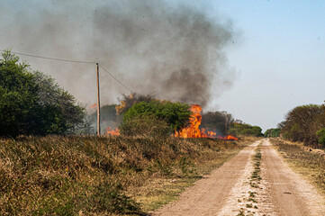 Fototapeta na wymiar Incendio Forestal