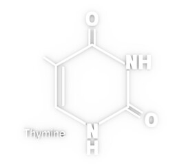 Chemical structural formula of thymine - DNA and RNA nitrogen base