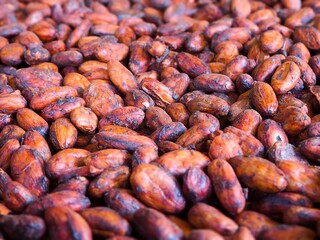 Closeup Pile Dried Cocoa Bean, soft and selective focus
