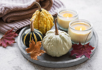 Autumn composition with assorted pumpkins