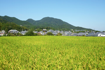 二上山　奈良県葛城市