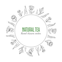 Calendula flower wreath isolated on white background, round frame hand drawn marigold, vector illustration for design package herbal tea, cosmetic, natural medicine, greeting card, decorative label