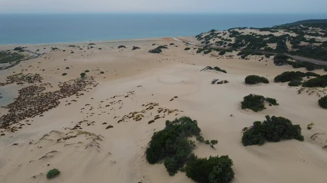 Dune di Piscinas, a huge massive sand desert dune by the seaside with a sandy ocean sea beach on the island Sardinia, Italy. Aerial drone flight over the touristic and dry coastal area from above.