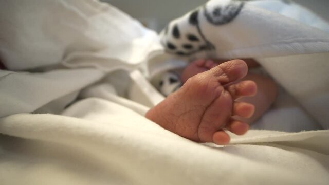 Newborn feet. Close up and static view