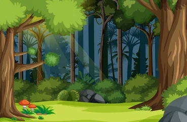 Nature forest landscape background © blueringmedia