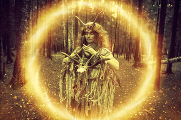 portal in a forest