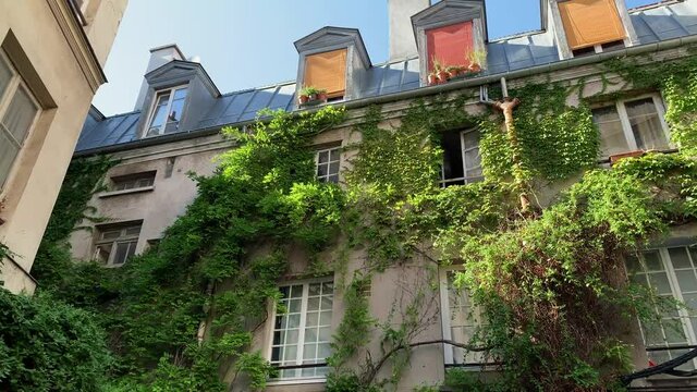 Small Street in Paris Vines Cover Typical French Building on a Bright Sunny Day