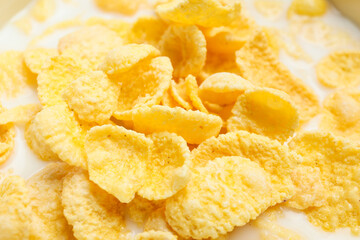 Tasty cornflakes with milk, closeup