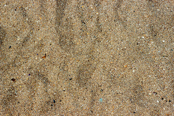 sea sand texture