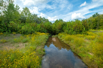 Fototapeta na wymiar Torrence Creek, Torrence Creek Greenway, Huntersville, North Carolina
