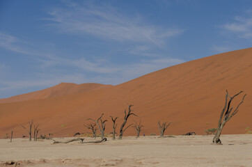 Ein Tag in Sossusvlei S&uuml;dafrika